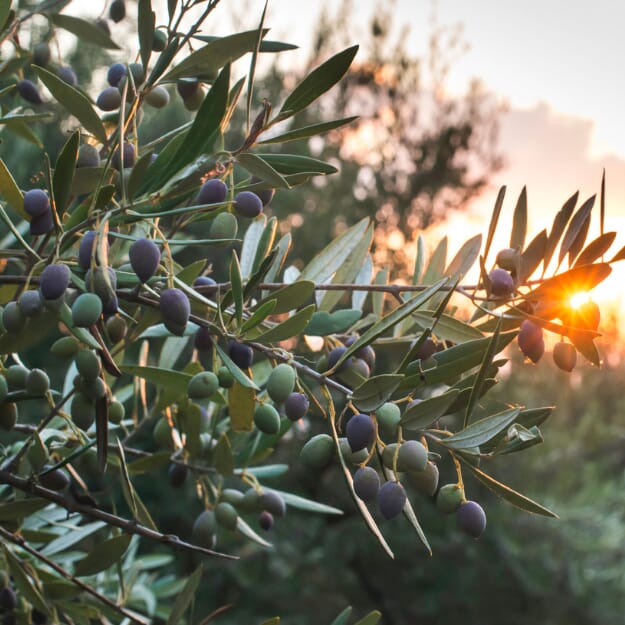 Clarol ZnO Clear 8ml